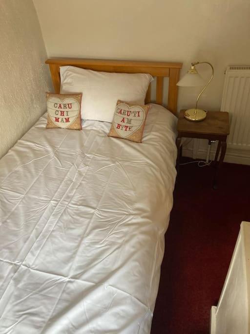 Lovely Peaceful 2 Bed Cottage Llandderfel Exterior foto
